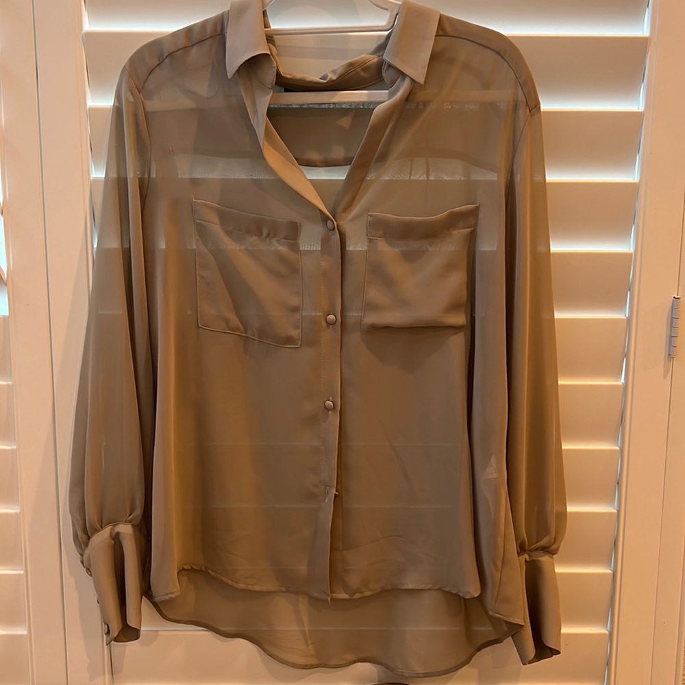 Zara Sheer Beige Blouse. Never worn. Size Large